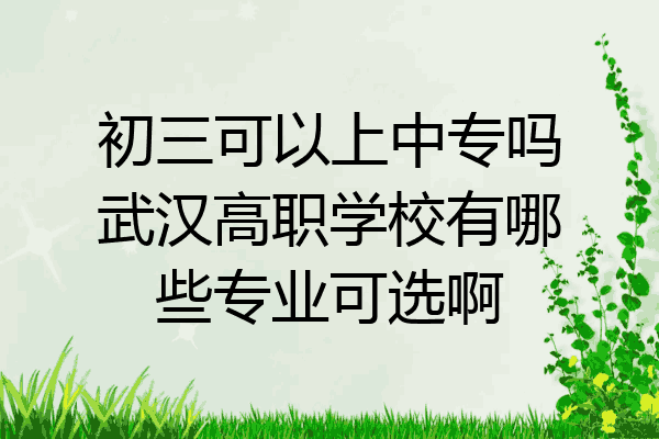 初三可以上中专吗武汉高职学校有哪些专业可选啊