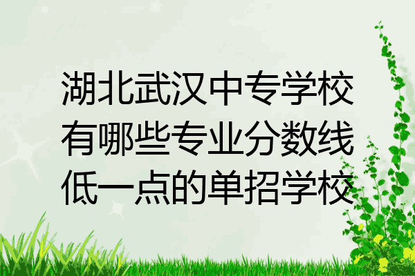 湖北武汉中专学校有哪些专业分数线低一点的单招学校