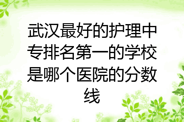武汉最好的护理中专排名第一的学校是哪个医院的分数线
