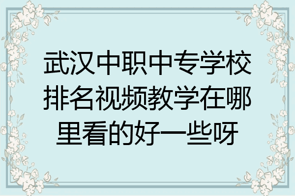 武汉中职中专学校排名视频教学在哪里看的好一些呀