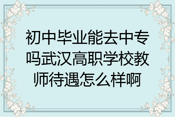 初中毕业能去中专吗武汉高职学校教师待遇怎么样啊