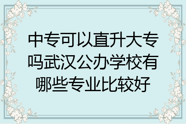 中专可以直升大专吗武汉公办学校有哪些专业比较好