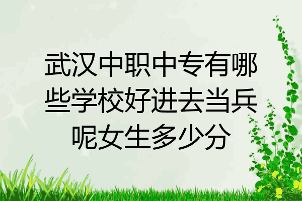武汉中职中专有哪些学校好进去当兵呢女生多少分