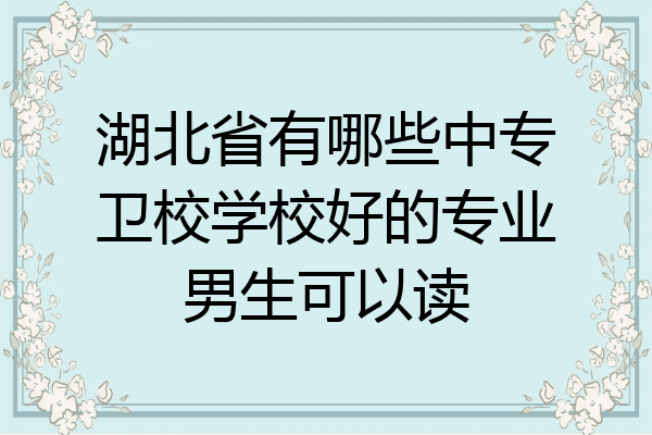 湖北省有哪些中专卫校学校好的专业男生可以读