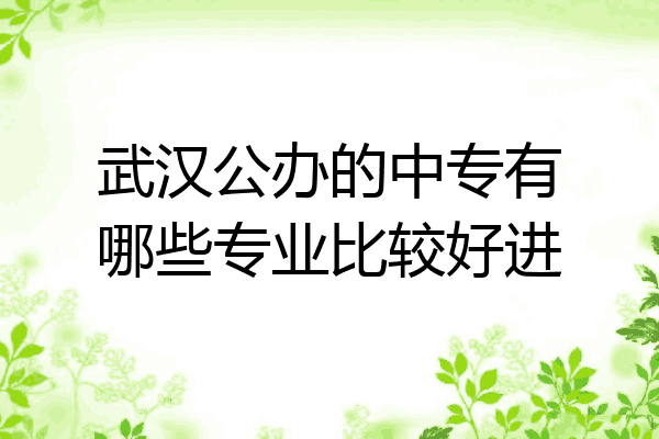 武汉公办的中专有哪些专业比较好进
