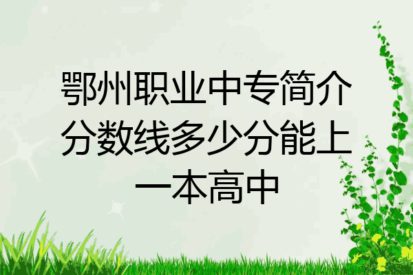 鄂州职业中专简介分数线多少分能上一本高中