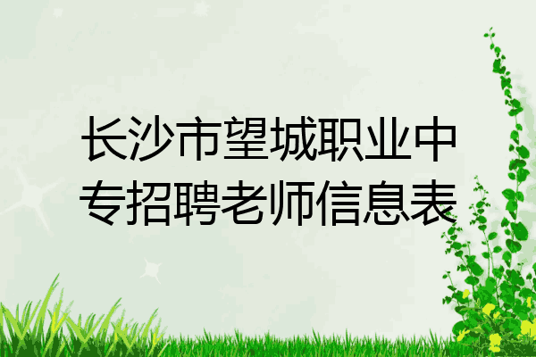 长沙市望城职业中专招聘老师信息表