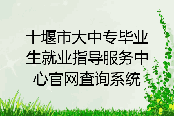 十堰市大中专毕业生就业指导服务中心官网查询系统