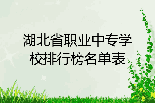 湖北省职业中专学校排行榜名单表