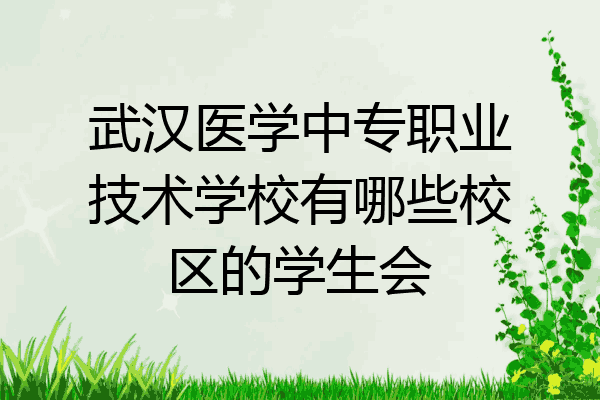 武汉医学中专职业技术学校有哪些校区的学生会