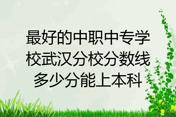 最好的中职中专学校武汉分校分数线多少分能上本科