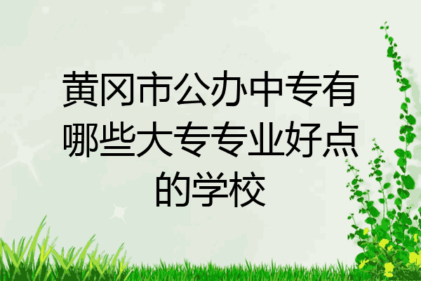黄冈市公办中专有哪些大专专业好点的学校