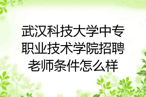 武汉科技大学中专职业技术学院招聘老师条件怎么样