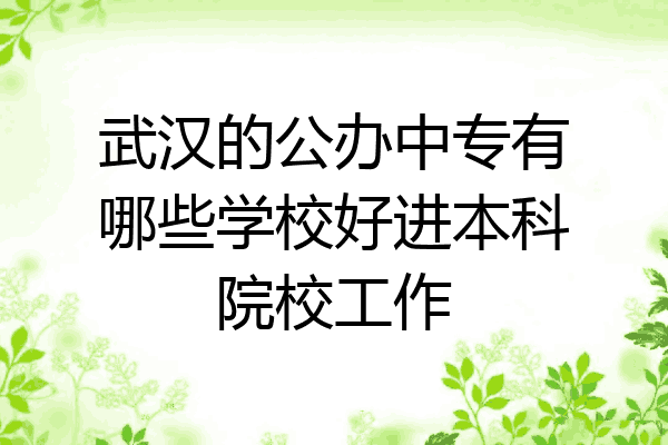 武汉的公办中专有哪些学校好进本科院校工作