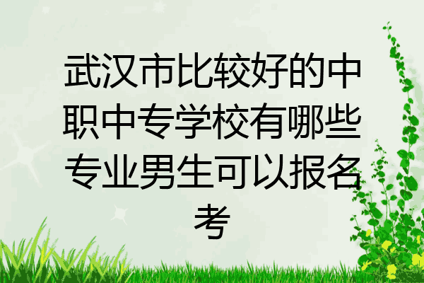 武汉市比较好的中职中专学校有哪些专业男生可以报名考