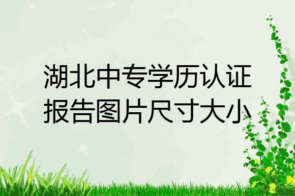 湖北中专学历认证报告图片尺寸大小