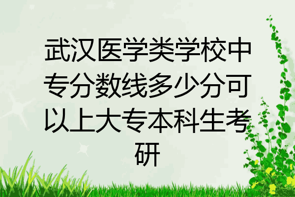 武汉医学类学校中专分数线多少分可以上大专本科生考研