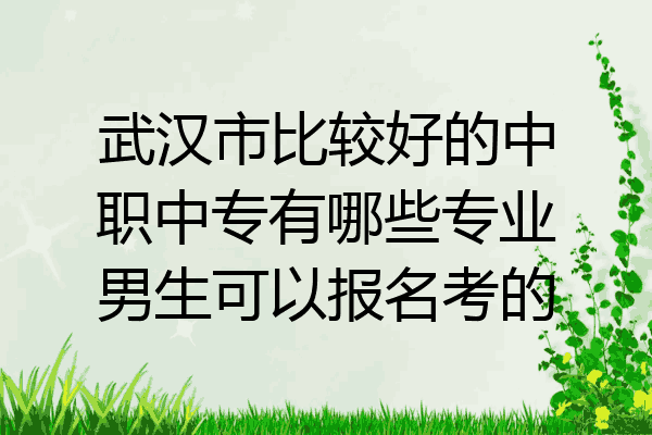 武汉市比较好的中职中专有哪些专业男生可以报名考的