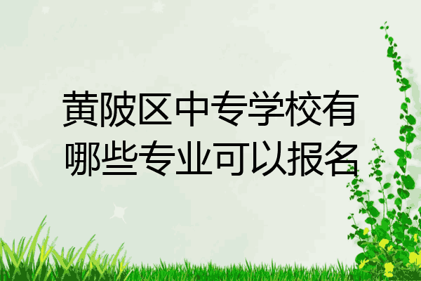 黄陂区中专学校有哪些专业可以报名