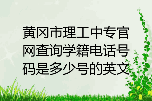 黄冈市理工中专官网查询学籍电话号码是多少号的英文