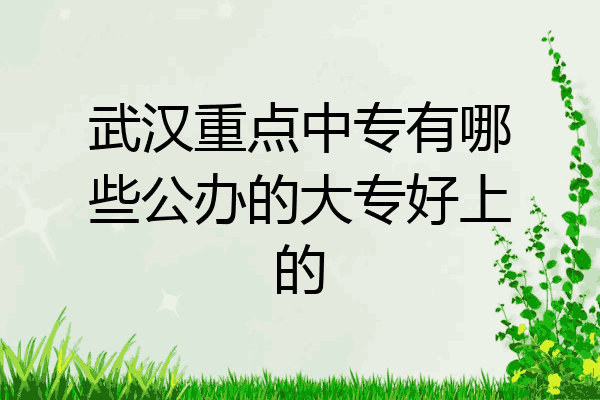 武汉重点中专有哪些公办的大专好上的