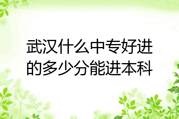 武汉什么中专好进的多少分能进本科