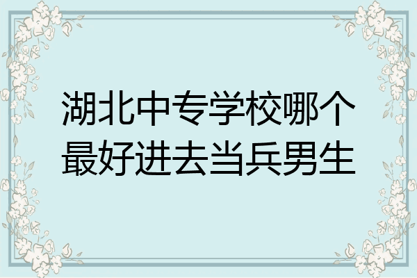 湖北中专学校哪个最好进去当兵男生