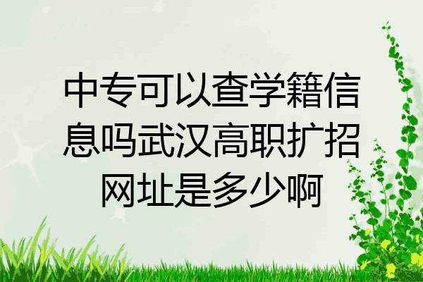 中专可以查学籍信息吗武汉高职扩招网址是多少啊