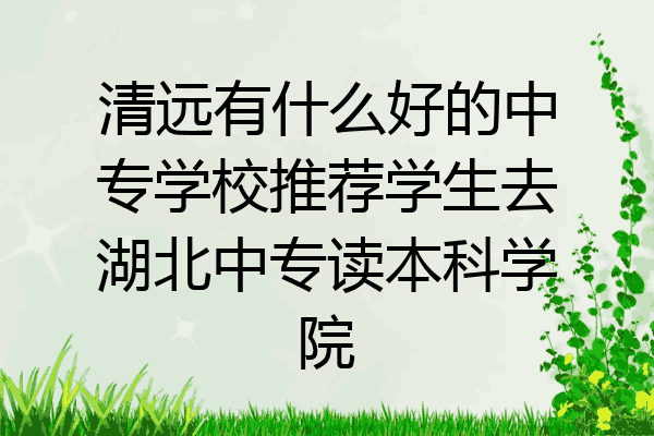 清远有什么好的中专学校推荐学生去湖北中专读本科学院