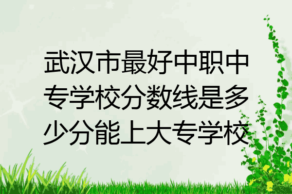 武汉市最好中职中专学校分数线是多少分能上大专学校