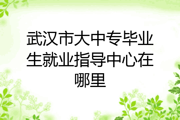 武汉市大中专毕业生就业指导中心在哪里