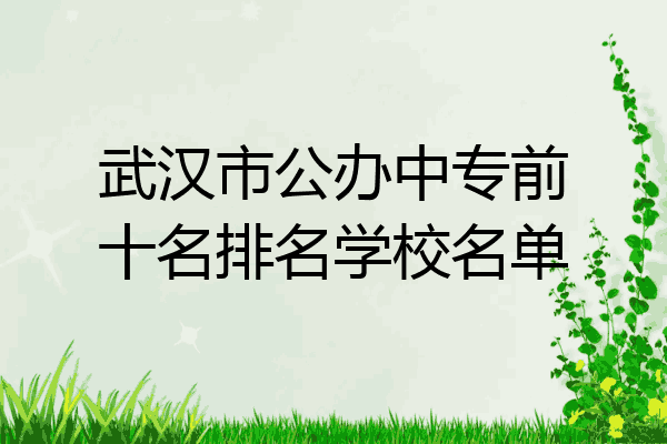 武汉市公办中专前十名排名学校名单