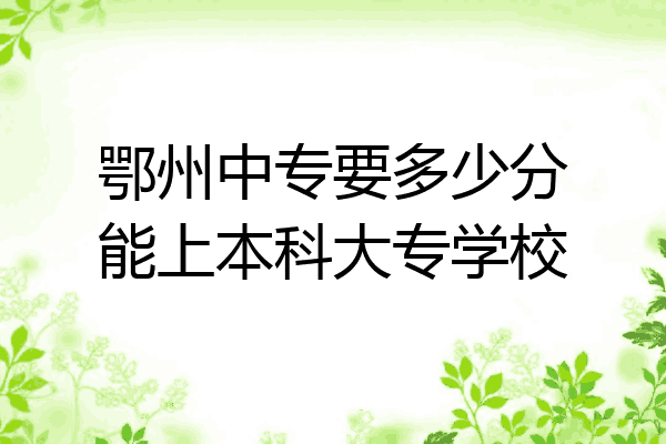 鄂州中专要多少分能上本科大专学校