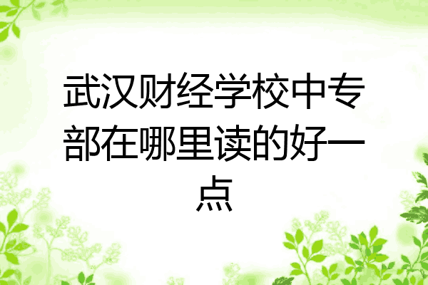 武汉财经学校中专部在哪里读的好一点