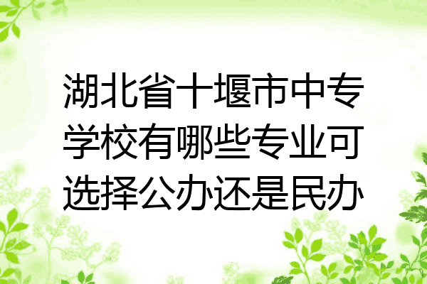 湖北省十堰市中专学校有哪些专业可选择公办还是民办