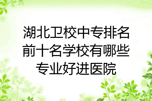 湖北卫校中专排名前十名学校有哪些专业好进医院