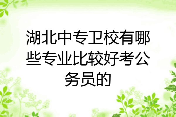 湖北中专卫校有哪些专业比较好考公务员的