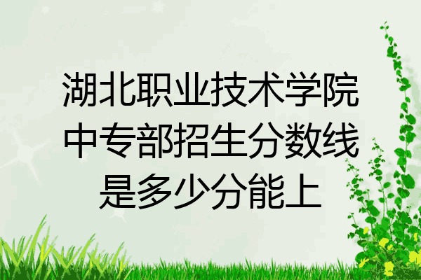 湖北职业技术学院中专部招生分数线是多少分能上