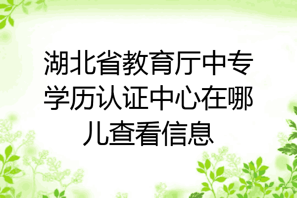 湖北省教育厅中专学历认证中心在哪儿查看信息