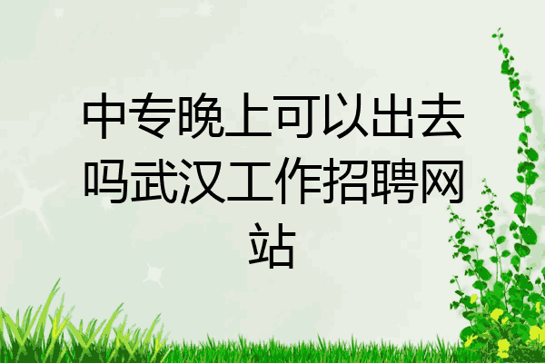 中专晚上可以出去吗武汉工作招聘网站