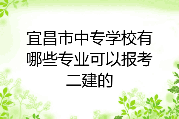 宜昌市中专学校有哪些专业可以报考二建的