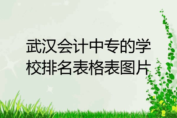 武汉会计中专的学校排名表格表图片