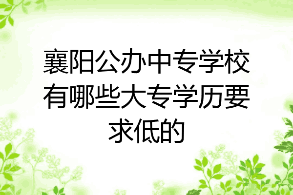 襄阳公办中专学校有哪些大专学历要求低的