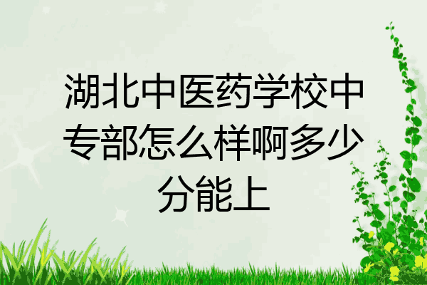 湖北中医药学校中专部怎么样啊多少分能上