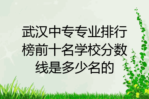 武汉中专专业排行榜前十名学校分数线是多少名的