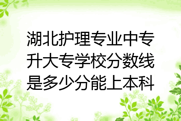 湖北护理专业中专升大专学校分数线是多少分能上本科