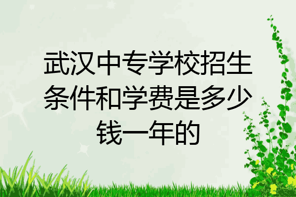 武汉中专学校招生条件和学费是多少钱一年的