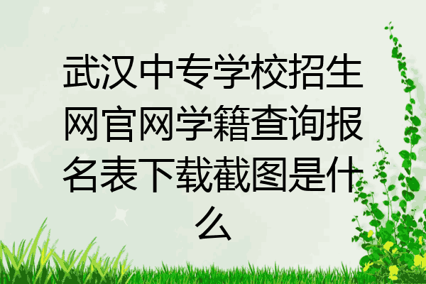 武汉中专学校招生网官网学籍查询报名表下载截图是什么