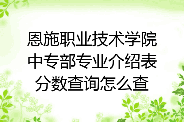 恩施职业技术学院中专部专业介绍表分数查询怎么查