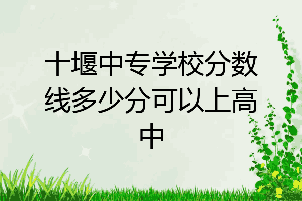 十堰中专学校分数线多少分可以上高中